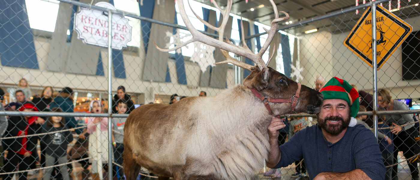 Reindeer with animal handler