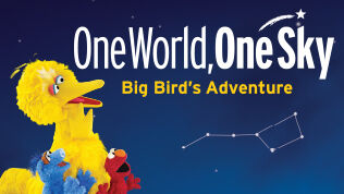 Liberty Science Center :: One World, One Sky: Big Bird's Adventure