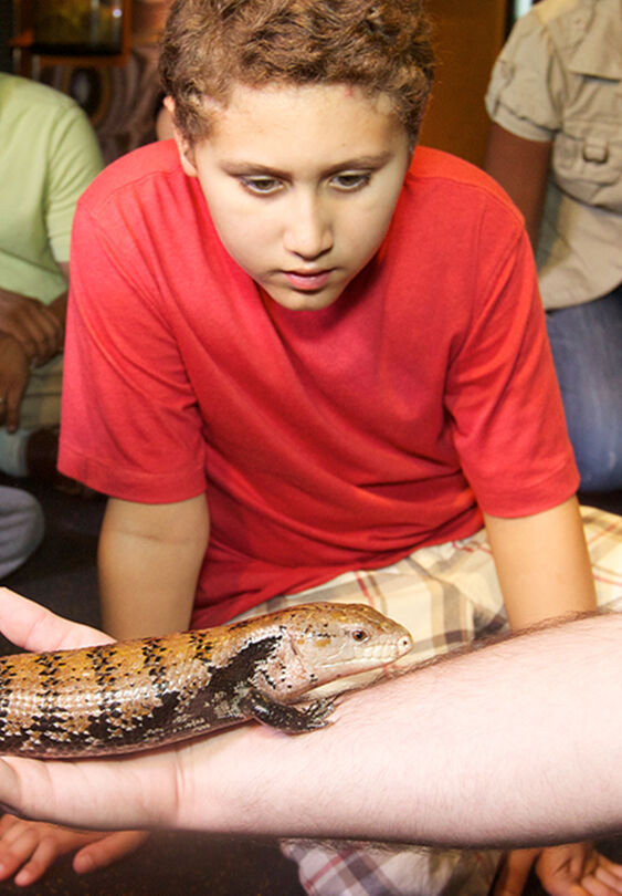 Liberty Science Center :: Wild About Animals