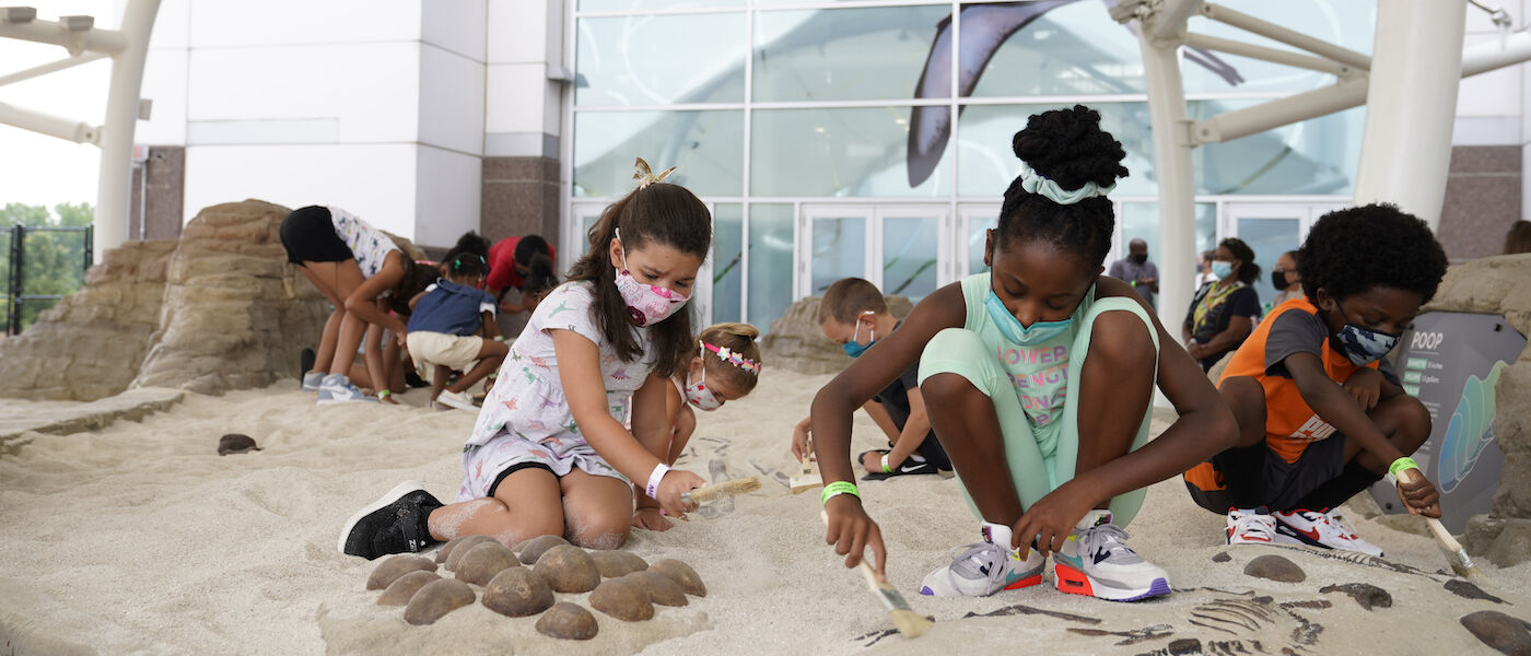 Kids digging for fossils in Dino Dig Adventure