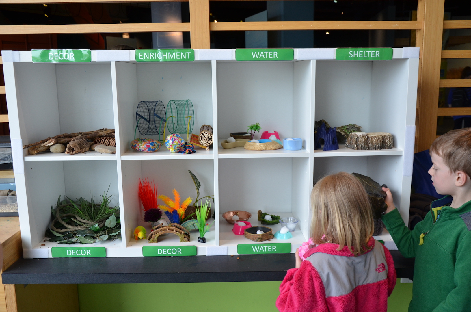 Kids viewing objects and deciding which should go in the habitat

