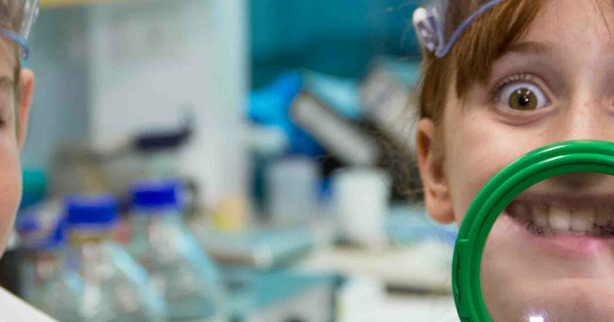 Liberty Science Center :: Young Scientist Lab workshops and Scholastic ...