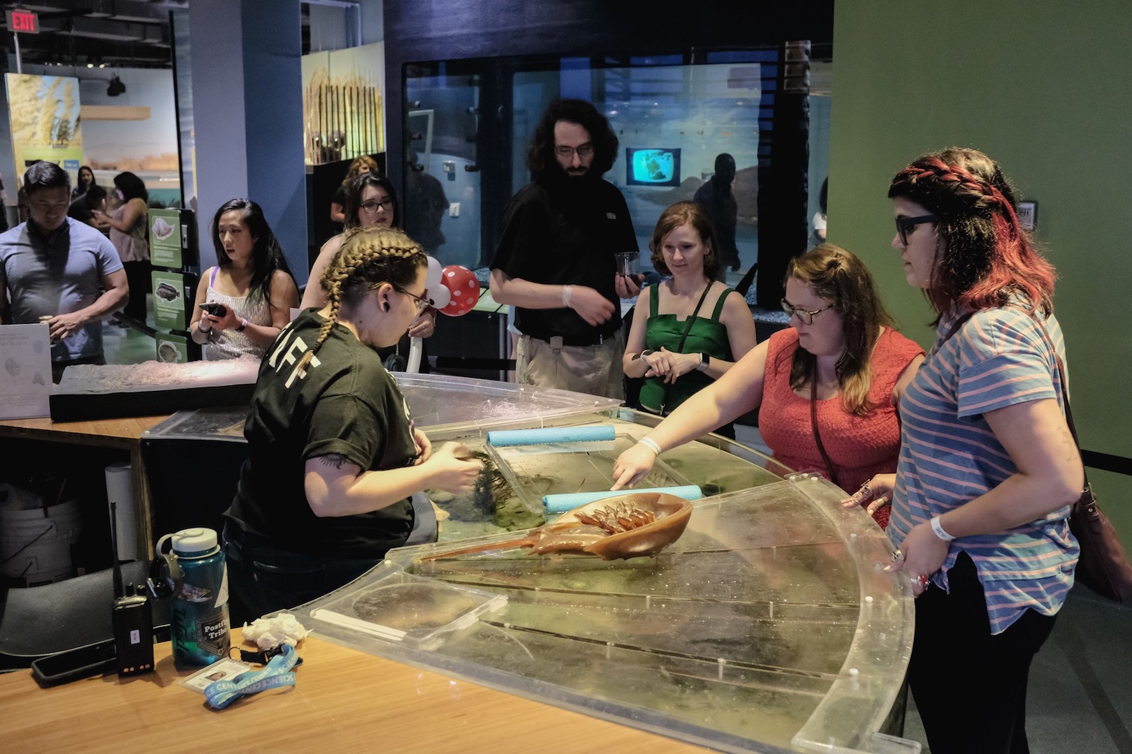 Guests touch a horseshoe crab at the Prehistoric Touch Tank