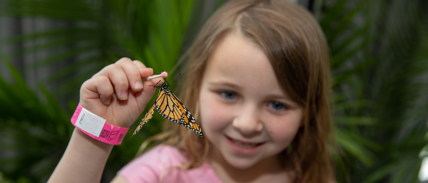 Child in Butterfly House