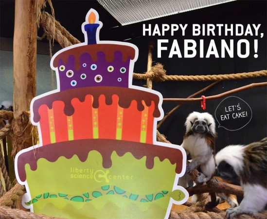 Happy 30th birthday to Fabiano Caruana! – Chessdom