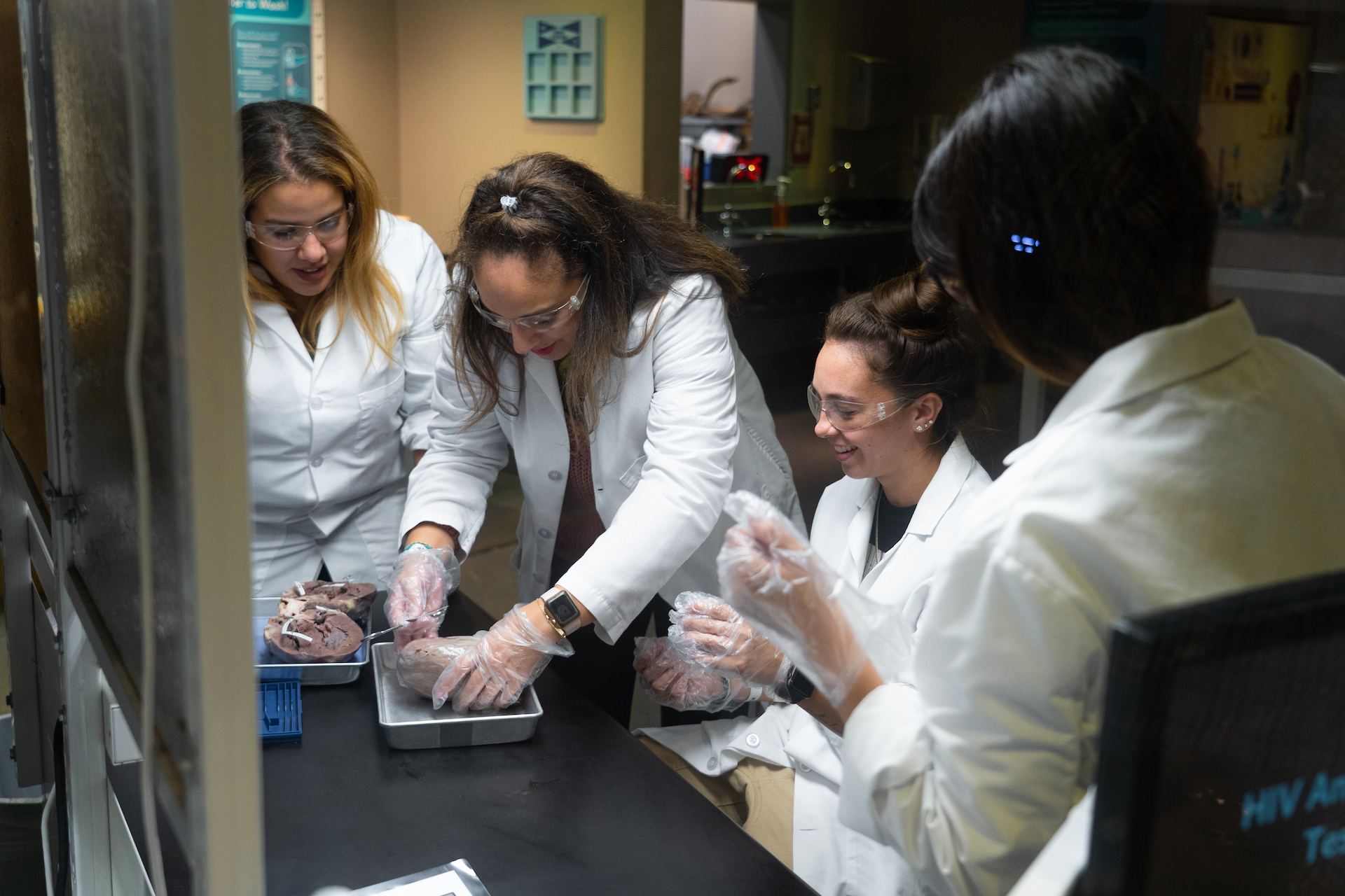 Guests dissecting a pig heart in lab coats
