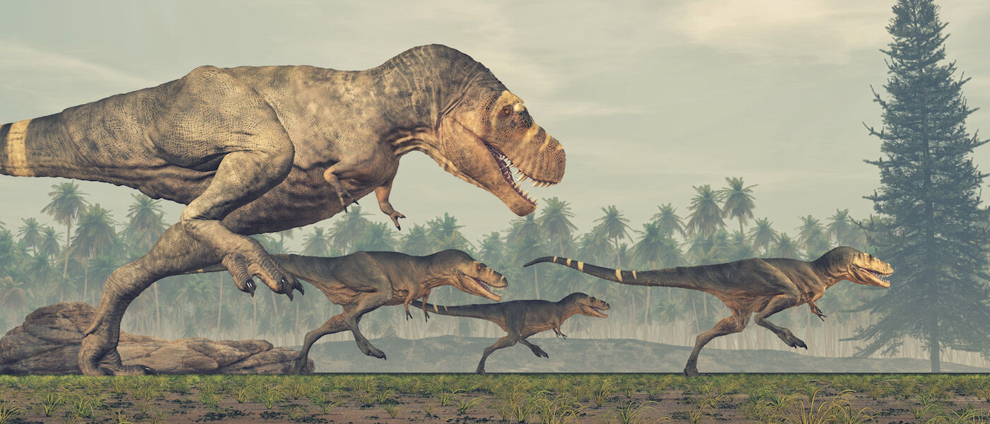 You Might Be Able to Outrun a T. Rex