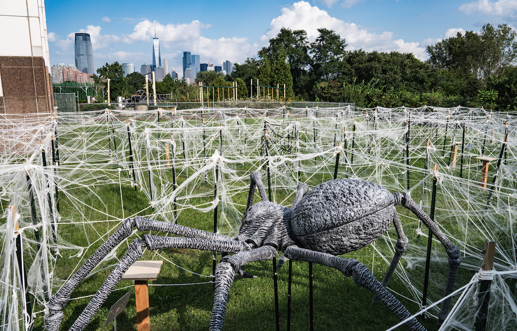 Spider Maze at Liberty Science Center