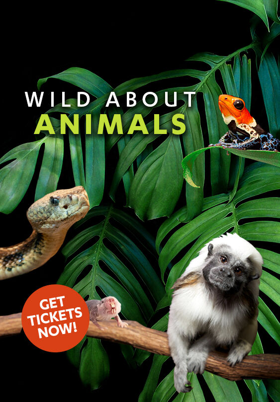 Liberty Science Center :: Wild About Animals