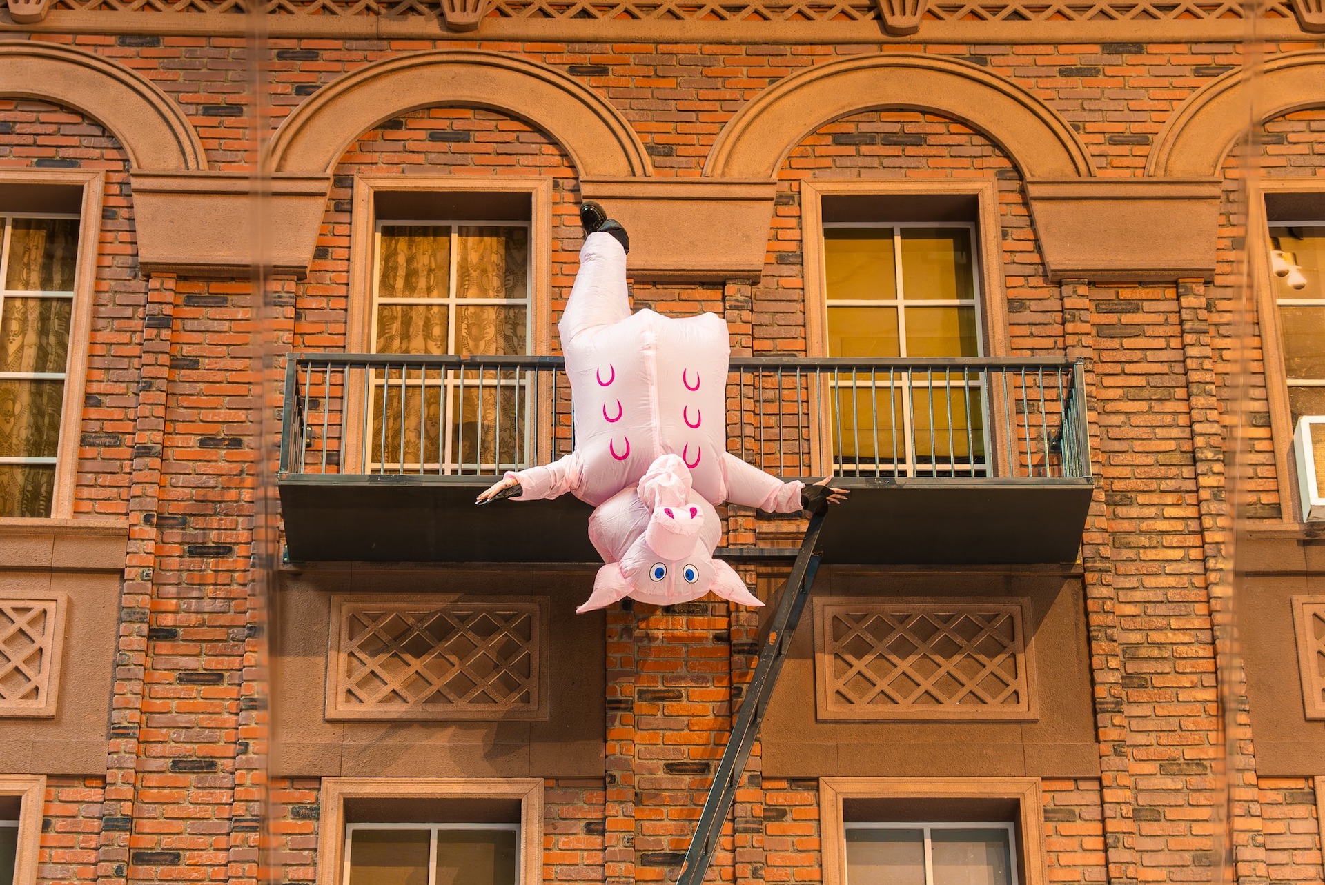Friendly piggy on The Building at LSC After Dark: Fire Festival