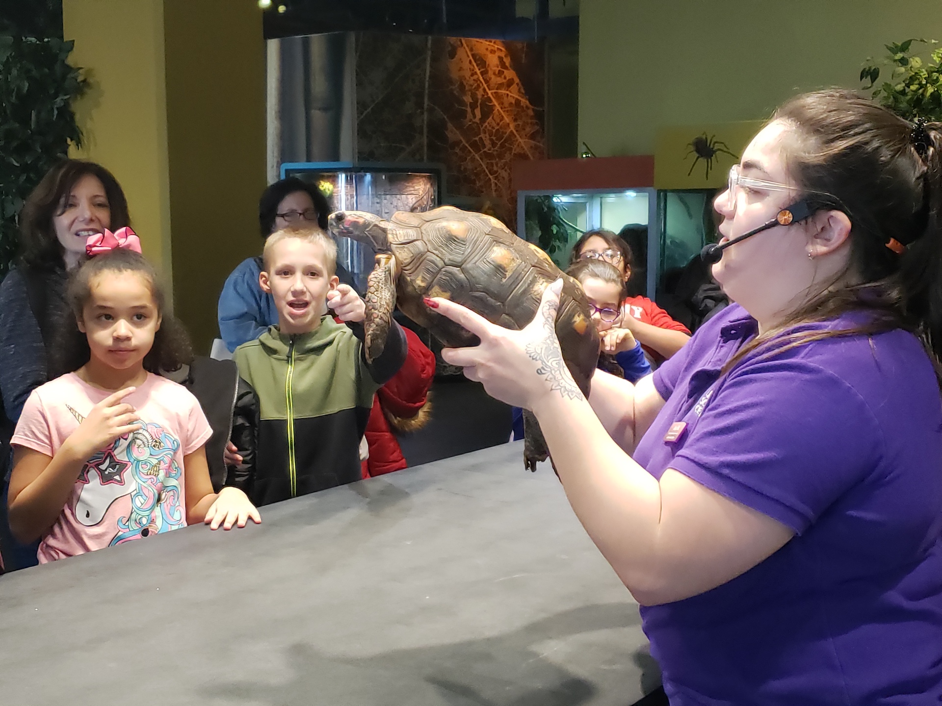 Meeting a tortoise on Special Needs Day