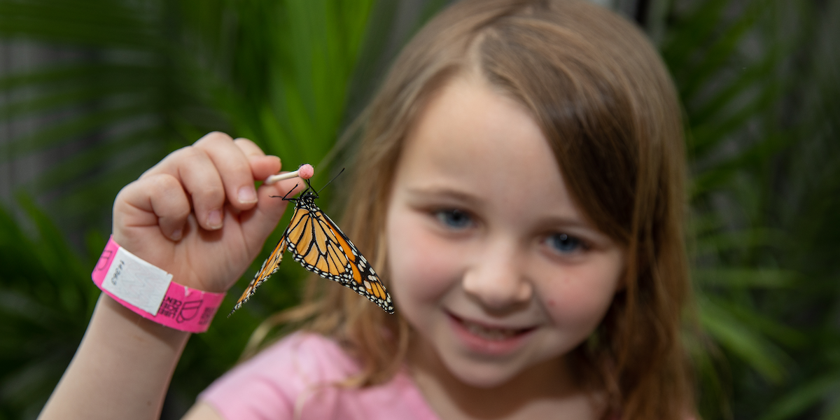 Liberty Science Center The Butterfly House is back!