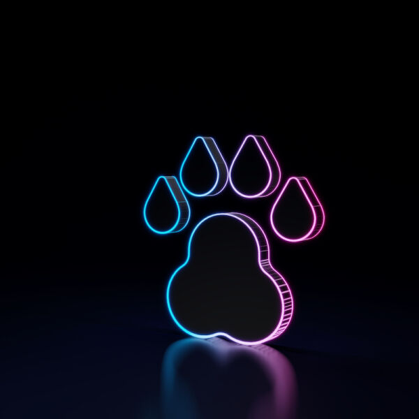 Wild Animal Laser Show 800x800.jpg