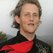Temple Grandin tile.jpg