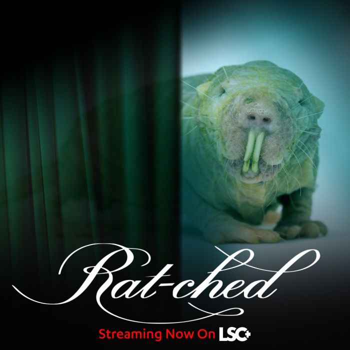 Poster for Rat-ched