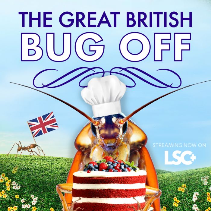 Poster for The Great British Bug-Off