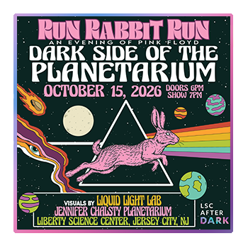 RunRabbitRun_v2_250x250.png