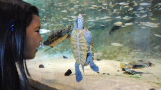 Liberty Science Center :: Wild About Animals